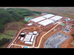 Pvc-Comité het Eindigen van OmheiningsFattening Pen Piglet Nursery Crate With Voeder