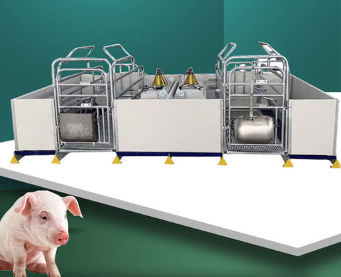High Durability Livestock Farm Equipment With Automatic Drinking System